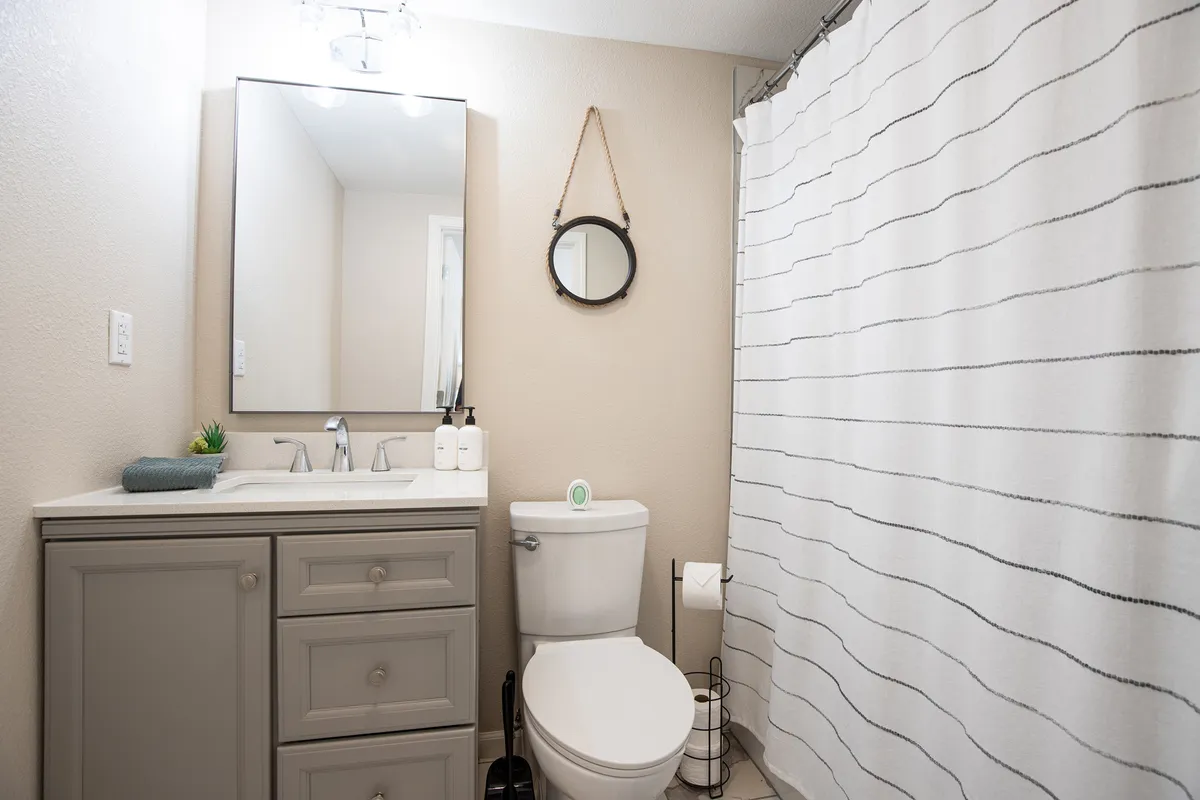 A calm and inviting bathroom with a modern vanity and sink, large mirror, shower curtain, toilet, and a small potted plant adding a touch of freshness. The neutral palette and clean lines create a spa-like feel, ideal for relaxation and privacy.